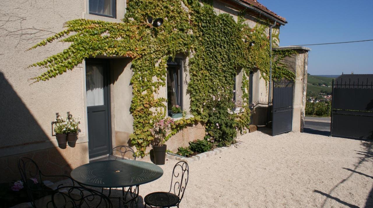 Les Dames-Jeannes Bed & Breakfast Chavot-Courcourt Bagian luar foto