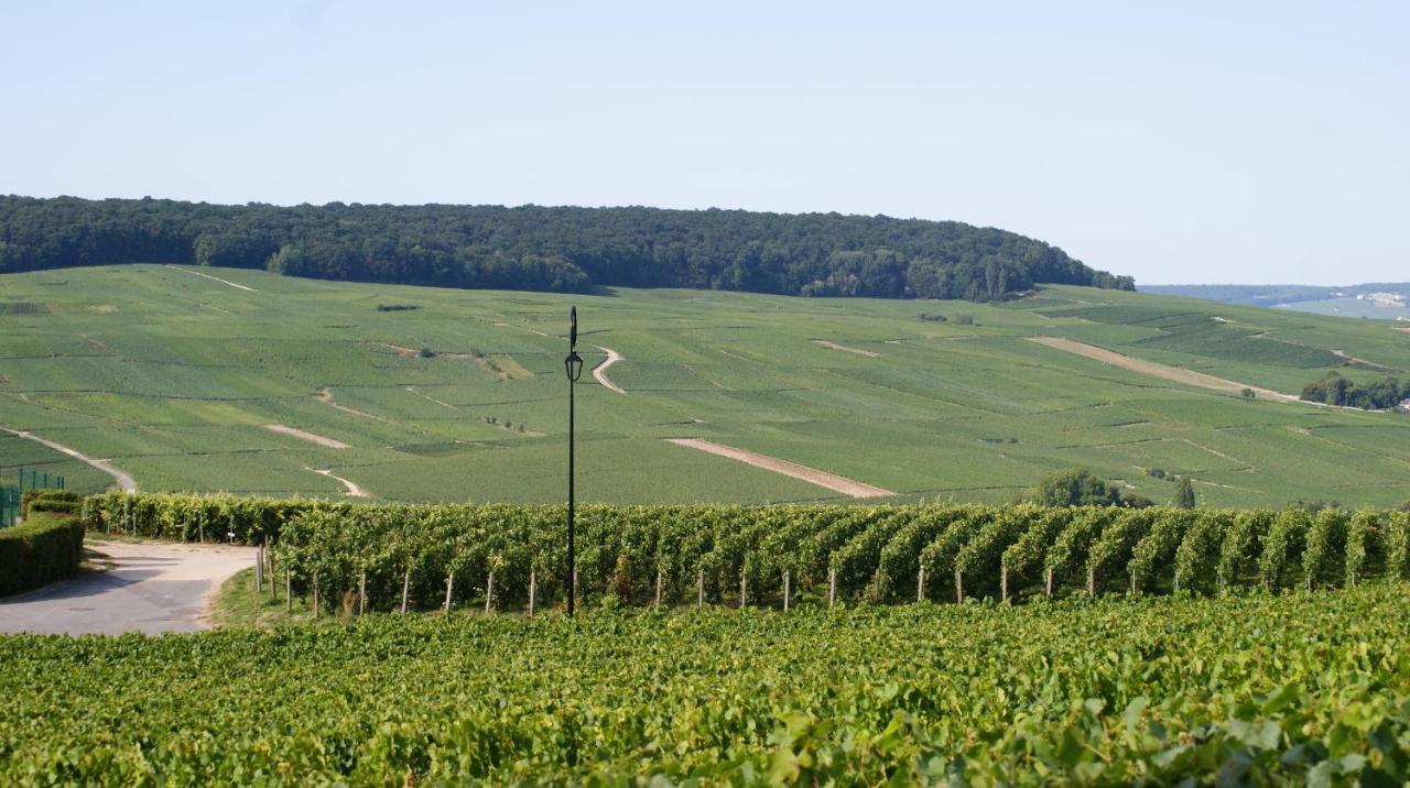Les Dames-Jeannes Bed & Breakfast Chavot-Courcourt Bagian luar foto